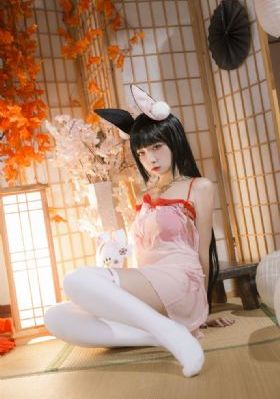 终末的女武神免费观看_蓝光在线观看